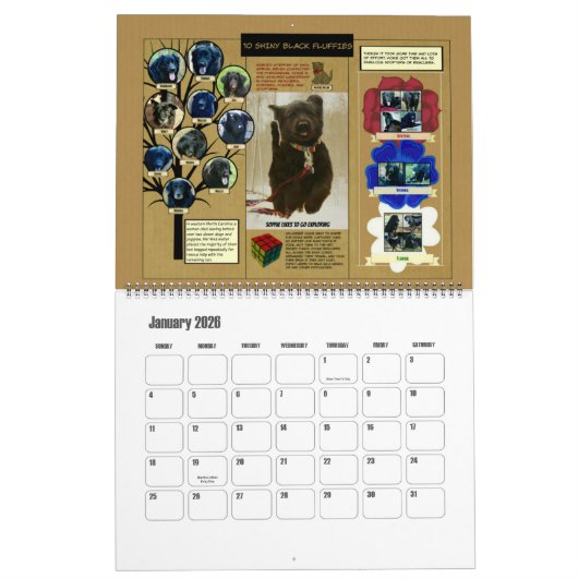 Calendrier de grande taille de l'amour 2016 de (Jan 2026)