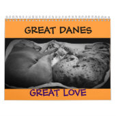 Calendrier de great dane "détendant autour de la (Protection)