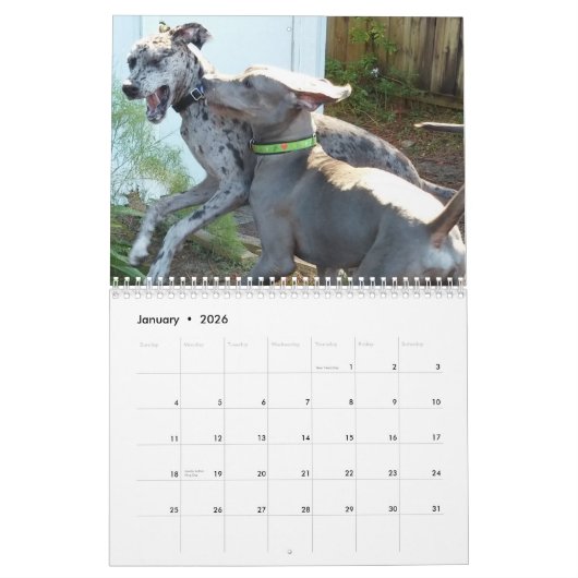Calendrier de great dane "détendant autour de la (Jan 2026)