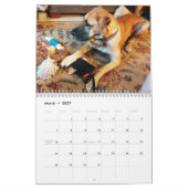 Calendrier de great dane "détendant autour de la (Mar 2027)
