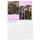 Calendrier de great dane "détendant autour de la (Feb 2027)