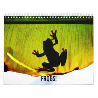 Calendrier de grenouilles