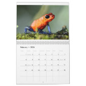 Calendrier de grenouilles du Costa Rica (Feb 2026)