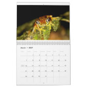 Calendrier de grenouilles du Costa Rica (Mar 2027)