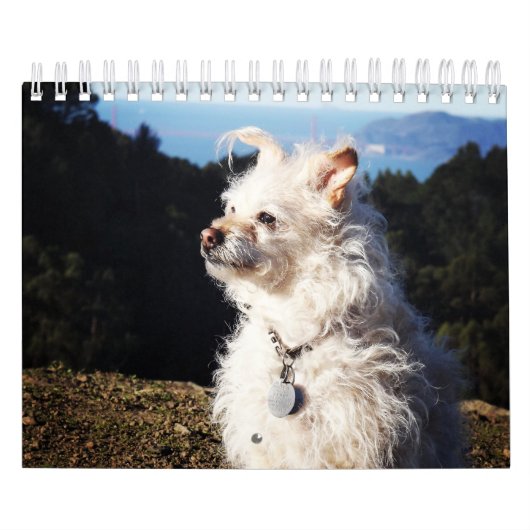 Calendrier de Gwendolyn 2016 (Protection)