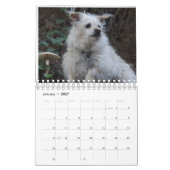 Calendrier de Gwendolyn 2016 (Jan 2027)