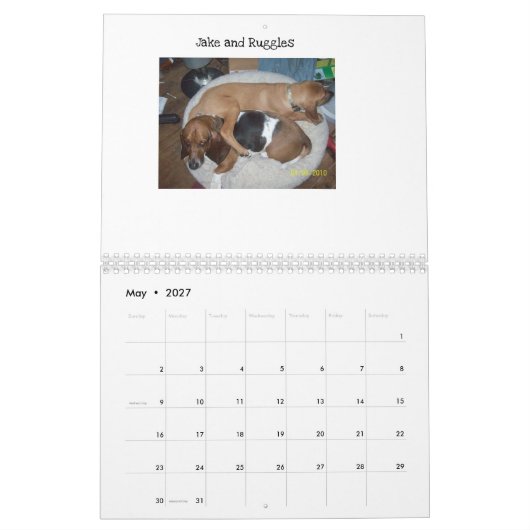Calendrier de hachage des actifs (Mai 2027)