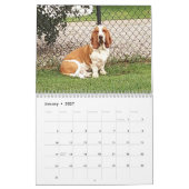 Calendrier de hachage des actifs (Jan 2027)