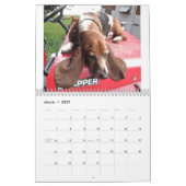Calendrier de hachage des actifs (Mar 2027)
