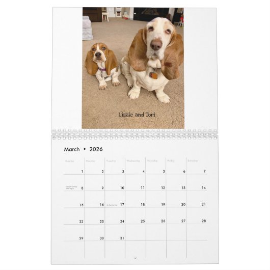 Calendrier de hachage des actifs (Mar 2026)