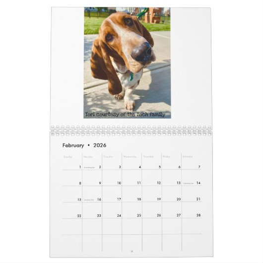 Calendrier de hachage des actifs (Feb 2026)