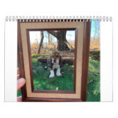 Calendrier de hachage des actifs (Protection)