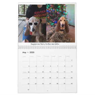 Calendrier de hachage des actifs