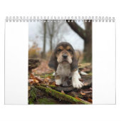 Calendrier de hachage des actifs (Protection)