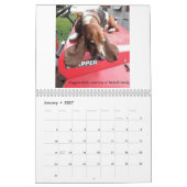 Calendrier de hachage des actifs (Jan 2027)
