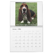 Calendrier de hachage des actifs (Jan 2026)