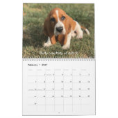Calendrier de hachage des actifs (Feb 2027)