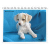 Calendrier De Harlan aux mains sûres (Protection)