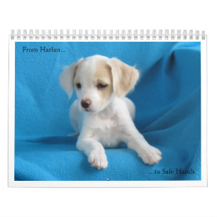 Calendrier De Harlan aux mains sûres