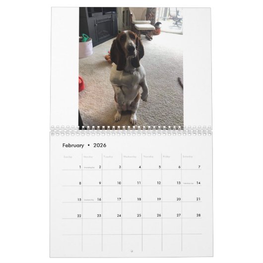 Calendrier de Hound Basset (Feb 2026)