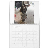 Calendrier de Hound Basset (Feb 2027)