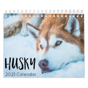 calendrier de husky dog 2021