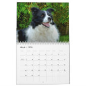 Calendrier de jolis Border Collie (Mar 2026)