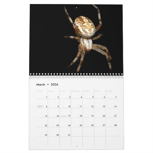 Calendrier de Just Spiders, 2020 (Mar 2026)