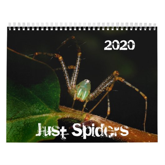 Calendrier de Just Spiders, 2020 (Protection)