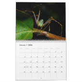 Calendrier de Just Spiders, 2020 (Jan 2026)