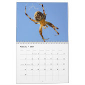 Calendrier de Just Spiders, 2020 (Feb 2027)