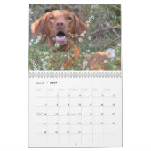 Calendrier de Katie Vizsla 2012 (Mar 2027)