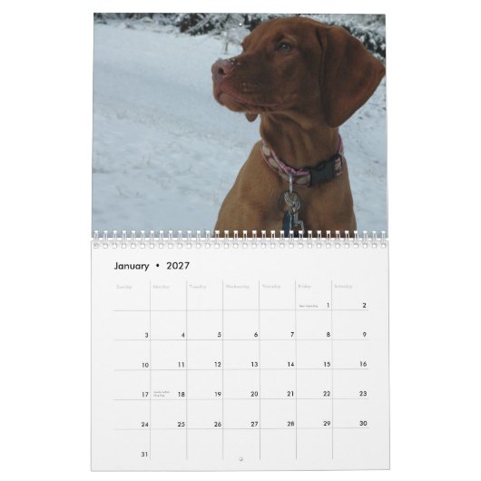 Calendrier de Katie Vizsla 2012 (Jan 2027)