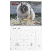Calendrier de Keeshond de 2019 trompettes (Jan 2027)