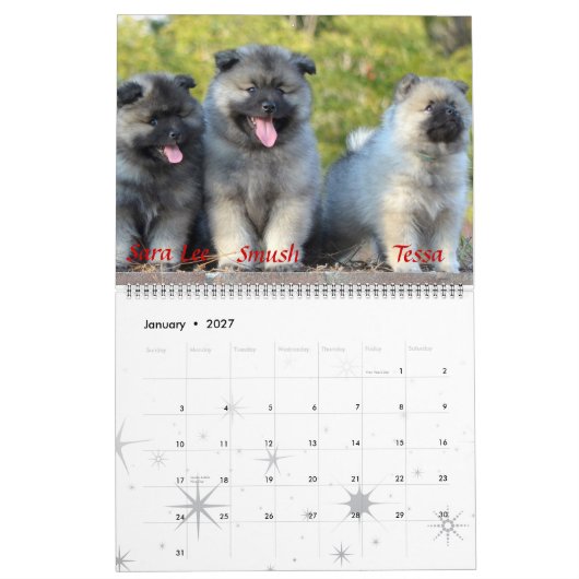 Calendrier de Keeshond de trompette (Jan 2027)