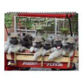 Calendrier de Keeshond de trompette (Protection)