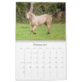 Calendrier de la beauté des chevaux (Feb 2027)