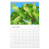 Calendrier de la collection de perroquets. (Mar 2027)