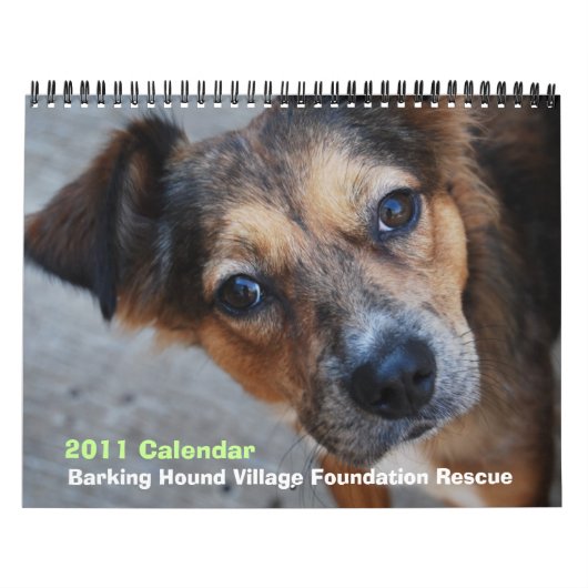 Calendrier de la délivrance 2011 de BHVF (Protection)