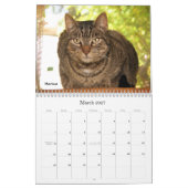 Calendrier de la délivrance 2013 de chat de (Mar 2027)
