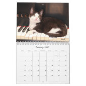 Calendrier de la délivrance 2013 de chat de (Jan 2027)
