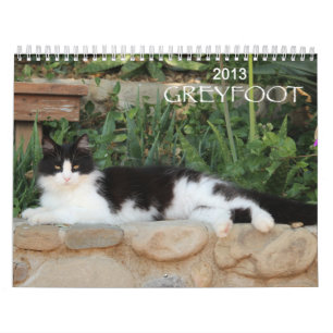 Calendrier de la délivrance 2013 de chat de
