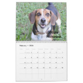 Calendrier de la délivrance 2014 de beagle (Feb 2026)