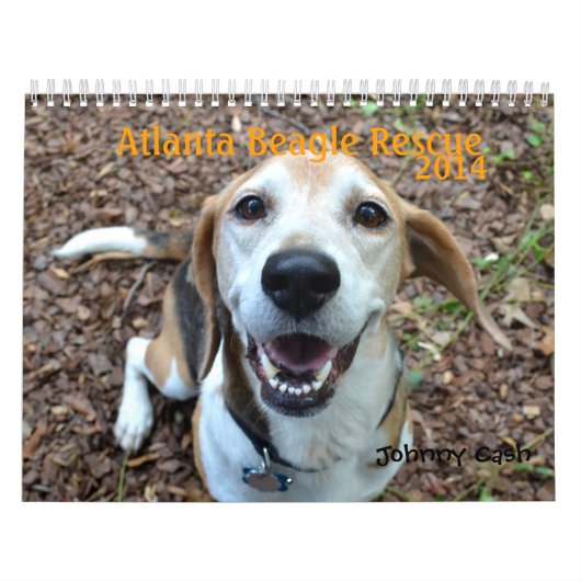 Calendrier de la délivrance 2014 de beagle (Protection)