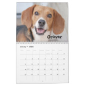 Calendrier de la délivrance 2014 de beagle (Jan 2026)