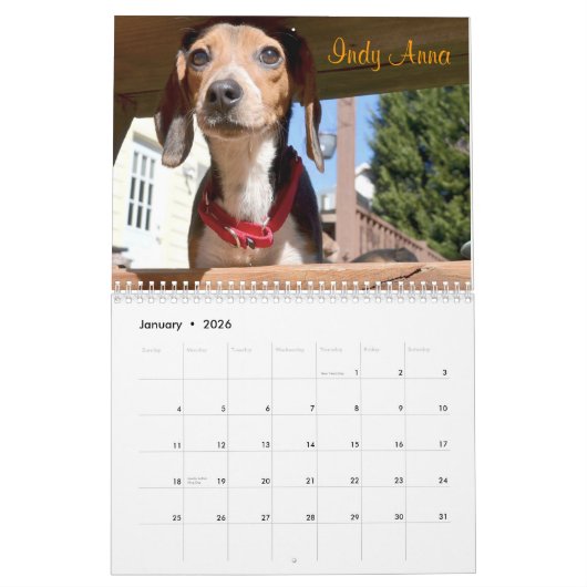 Calendrier de la délivrance 2015 de beagle (Jan 2026)