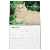 Calendrier de la délivrance 2016 de chat de (Mar 2026)