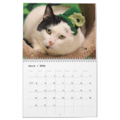 Calendrier de la délivrance 2017 de chat de (Mar 2026)