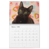 Calendrier de la délivrance 2017 de chat de (Feb 2026)