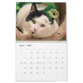 Calendrier de la délivrance 2017 de chat de (Mar 2027)